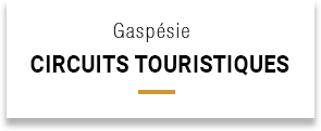 Gaspésie vols touristiques au Québec
